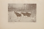 `Охота на лосей` Д. Нарышкин. 1900г. С.-Петербург