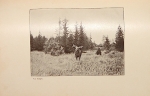 `Охота на лосей` Д. Нарышкин. 1900г. С.-Петербург