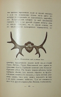 `Охота на лосей` Д. Нарышкин. 1900г. С.-Петербург