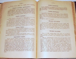 `Хозяйка- Экономка новая, практическая поваренная русская книга` Агриппина Елагина. 1902г. Москва