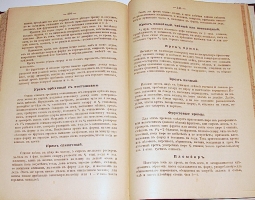 `Хозяйка- Экономка новая, практическая поваренная русская книга` Агриппина Елагина. 1902г. Москва