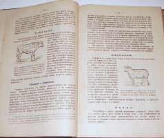 `Хозяйка- Экономка новая, практическая поваренная русская книга` Агриппина Елагина. 1902г. Москва