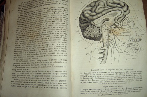 `Человек как предмет восприятия` Константин Ушинский. 1871 с.-петербург