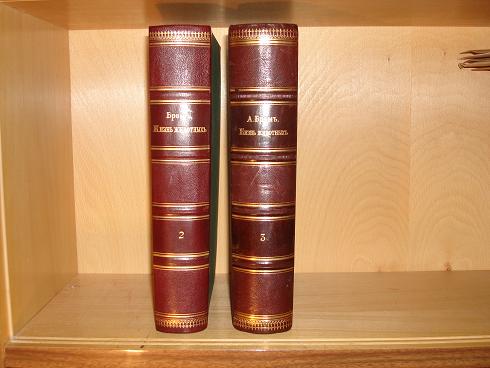 `ВСЯ ПРИРОДА` . С.-Петербург, 1900-1902гг., книгоизд.Просвещение