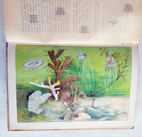 `В глубине вод` А.Шлейер. Москва, Издание В.М.Саблина, 1912 г.