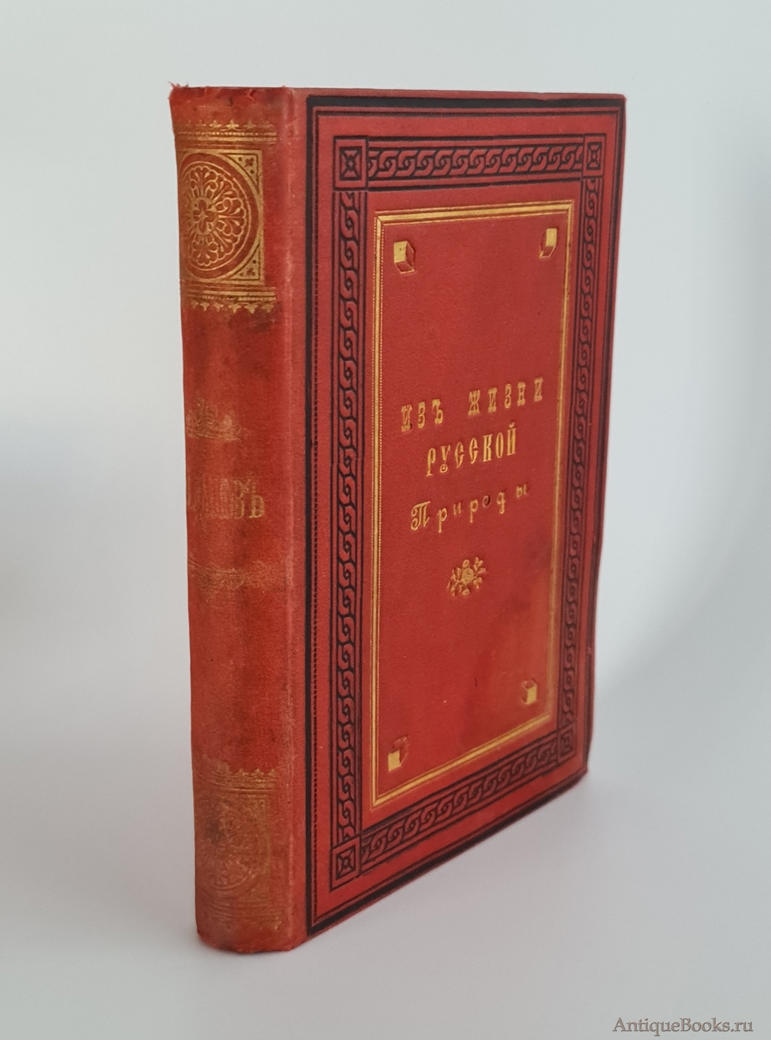 Из жизни русской природы. Зоологические очерки и рассказы. М.Н.Богданов .  С.-Петербург, Типография Н.А.Лебедева, 1889 г. Редкие антикварные книги в  интернет-магазине «Все книги России»