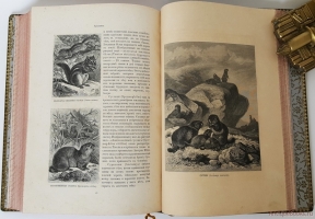 `Млекопитающие` Карл Фогт. СПб, Издание А.С.Суворина, 1885 г.
