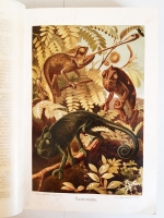 `Жизнь животных в трех томах` Альфред Брем (Брэм). б/г