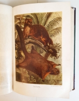 `Жизнь животных в трех томах` Альфред Брем (Брэм). б/г