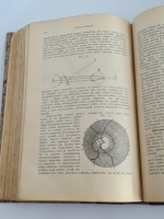 `Физиология человека` Проф. С.И.Чирьев. Киев, Издание студентов, 1899 г.