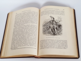 `Натуралист в Ла-Плате` У.Г.Хадсон. С.-Петербург, Издание А.Ф.Девриена, 1896 г.
