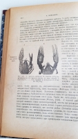 `Биологические основы зоологии. Часть II` В.Шимкевич. Москва - Петроград ГИЗ, 1923 г.