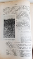 `Почвоведение` К.Д.Глинка. Москва, Издательство Новая Деревня, 1927 г.