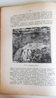 `Почвоведение` К.Д.Глинка. Москва, Издательство Новая Деревня, 1927 г.