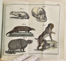 `Начальные основания естественной истории, содержащие царства животных, произрастений и ископаемых. [Книга 2] : Царство животных` Издано академиком Николаем Озерецковским по систематическому животных расположению г. Леске на немецком языке писанному. В Санктпетербурге,  печатано в Императорской типографии, 1791 г.