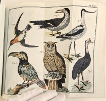 `Начальные основания естественной истории, содержащие царства животных, произрастений и ископаемых. [Книга 2] : Царство животных` Издано академиком Николаем Озерецковским по систематическому животных расположению г. Леске на немецком языке писанному. В Санктпетербурге,  печатано в Императорской типографии, 1791 г.