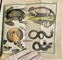 `Начальные основания естественной истории, содержащие царства животных, произрастений и ископаемых. [Книга 2] : Царство животных` Издано академиком Николаем Озерецковским по систематическому животных расположению г. Леске на немецком языке писанному. В Санктпетербурге,  печатано в Императорской типографии, 1791 г.