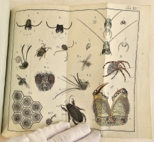 `Начальные основания естественной истории, содержащие царства животных, произрастений и ископаемых. [Книга 2] : Царство животных` Издано академиком Николаем Озерецковским по систематическому животных расположению г. Леске на немецком языке писанному. В Санктпетербурге,  печатано в Императорской типографии, 1791 г.