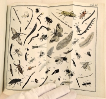 `Начальные основания естественной истории, содержащие царства животных, произрастений и ископаемых. [Книга 2] : Царство животных` Издано академиком Николаем Озерецковским по систематическому животных расположению г. Леске на немецком языке писанному. В Санктпетербурге,  печатано в Императорской типографии, 1791 г.