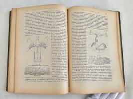 `Учебник физиологии` Професор Е.Гедон. СПб. - Киев, Издание Сотрудника, 1911 г.