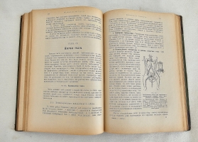 `Учебник физиологии` Професор Е.Гедон. СПб. - Киев, Издание Сотрудника, 1911 г.