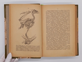`Птицы России` Михаил Александрович Мензбир. Москва, Типо-литогр. Выс. утв. Т-ва И. Н. Кушнерев и К°, 1895 год