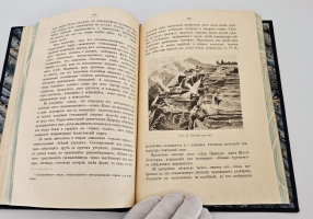 `Диковинки Земли` П.Е.Васильковский. С.-Петербург, Издание А.С.Суворина, 1913 г.