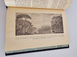 `Диковинки Земли` П.Е.Васильковский. С.-Петербург, Издание А.С.Суворина, 1913 г.