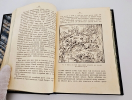 `Диковинки Земли` П.Е.Васильковский. С.-Петербург, Издание А.С.Суворина, 1913 г.