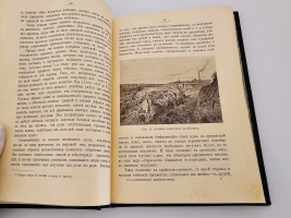 `Диковинки Земли` П.Е.Васильковский. С.-Петербург, Издание А.С.Суворина, 1913 г.