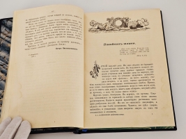 `Диковинки Земли` П.Е.Васильковский. С.-Петербург, Издание А.С.Суворина, 1913 г.
