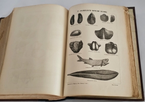 `Малый энциклопедический словарь в 3-х томах` Под редакцией И.Е.Андреевского, К.К.Арсеньева, Ф.Ф.Петрушевского. Санкт-Петербург, Издание Брокгауз-Ефрон, 1899-1902г.