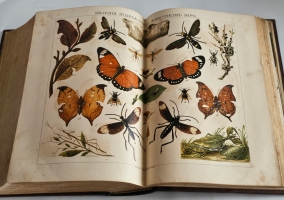 `Малый энциклопедический словарь в 3-х томах` Под редакцией И.Е.Андреевского, К.К.Арсеньева, Ф.Ф.Петрушевского. Санкт-Петербург, Издание Брокгауз-Ефрон, 1899-1902г.