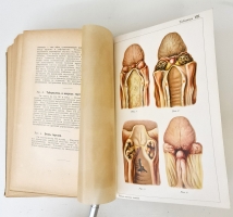 `Новый способ лечения. Настольная книга для здоровых и больных` Платен М.. СПб,  Книгоиздательское товарищество «Просвещение»,