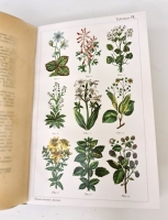 `Новый способ лечения. Настольная книга для здоровых и больных` Платен М.. СПб,  Книгоиздательское товарищество «Просвещение»,