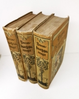 `Новый способ лечения. Настольная книга для здоровых и больных` Платен М.. СПб,  Книгоиздательское товарищество «Просвещение»,