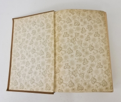 `Новый способ лечения. Настольная книга для здоровых и больных` Платен М.. СПб,  Книгоиздательское товарищество «Просвещение»,