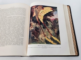 `Чудеса природы` . Санкт-Петербург, Книгоиздательское Товарищество Просвещение, [1914 г.]