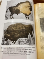 `Вселенная и человечество. История исследования природы и приложение её сил на службу человечеству` под ред. Г. Кремера, пер. с нем. А.С. Догеля. Типография Книгоиздательского Т-ва «Просвещение», [1904].