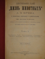 `Иллюстрированное издание  Жизнь животных  А.Э.Брэма в десяти томах` Альфред Эдмунд Брэм. С.-Петербург, Издание Высочайше Утверждённого Товарищества  Общественная Польза , 1893-1896гг.
