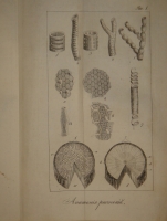 `Основание ботаники и физиологии растений. В 2-х частях` Сочинение А.Ришара. Москва, В Университетской Типографии, 1835-1837гг.