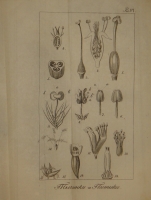 `Основание ботаники и физиологии растений. В 2-х частях` Сочинение А.Ришара. Москва, В Университетской Типографии, 1835-1837гг.