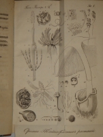 `Основание ботаники и физиологии растений. В 2-х частях` Сочинение А.Ришара. Москва, В Университетской Типографии, 1835-1837гг.