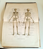 `Человек в двух томах` И.Ранке. С.-Петербург, Т-во «Просвещение», 1903 г.