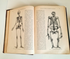 `Человек в двух томах` И.Ранке. С.-Петербург, Т-во «Просвещение», 1903 г.