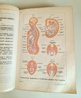 `Человек в двух томах` И.Ранке. С.-Петербург, Т-во «Просвещение», 1903 г.