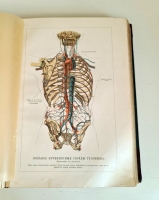 `Человек в двух томах` И.Ранке. С.-Петербург, Т-во «Просвещение», 1903 г.