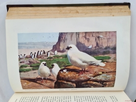 `Жизнь животных (в 7-ми томах)` А.Э. Брэм. Санкт-Петербург, тов-во Деятель, 1911-1914 гг.