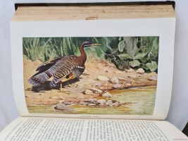 `Жизнь животных (в 7-ми томах)` А.Э. Брэм. Санкт-Петербург, тов-во Деятель, 1911-1914 гг.