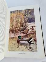 `Жизнь животных (в 7-ми томах)` А.Э. Брэм. Санкт-Петербург, тов-во Деятель, 1911-1914 гг.